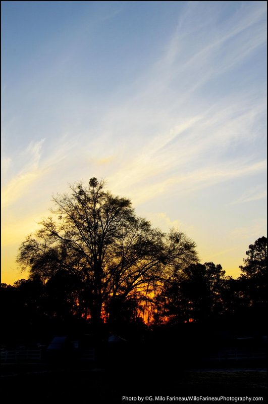 sunset.jpg