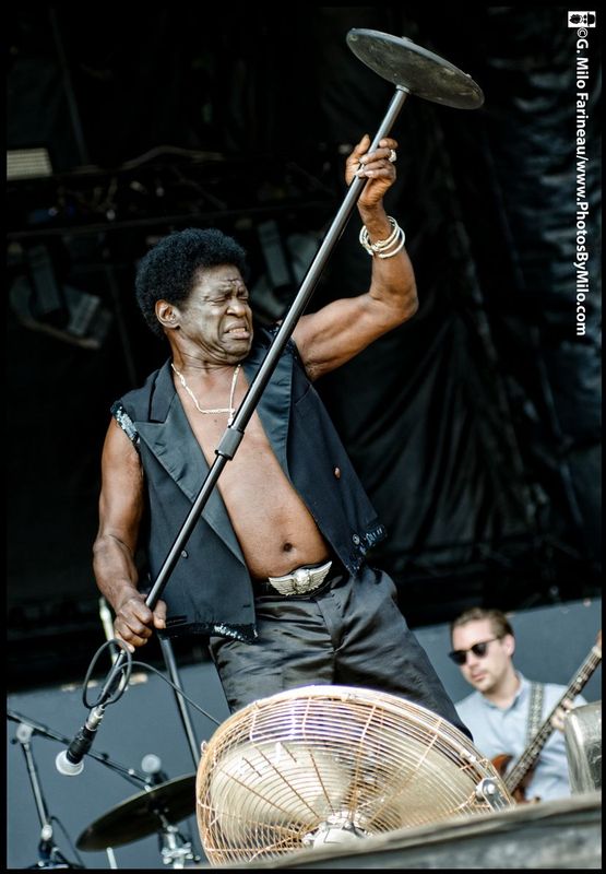 Charles Bradley_1.jpg