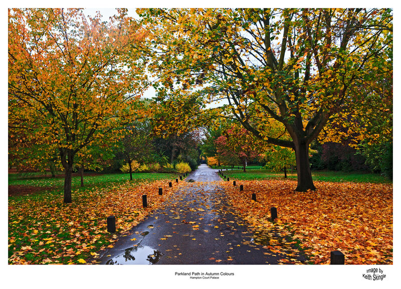 Autumn-Parkland-Path.jpg :: Autumn Colours at Hampton Court