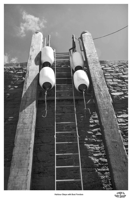 DVN_8796(1).jpg :: Harbour escape ladder & Buoys, Ilfracombe
