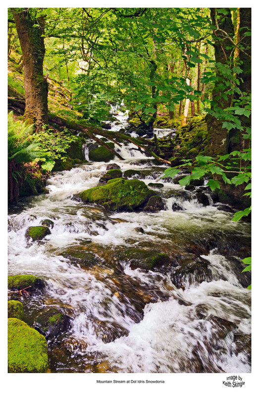 Dol-Idris-Stream.jpg :: Mountain stream at the Dol Idris entrance to Cadair Idris