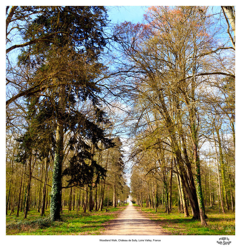 FRA_9758(1).jpg :: Path through the woodland park from Château de Sully-sur-Loire, France
