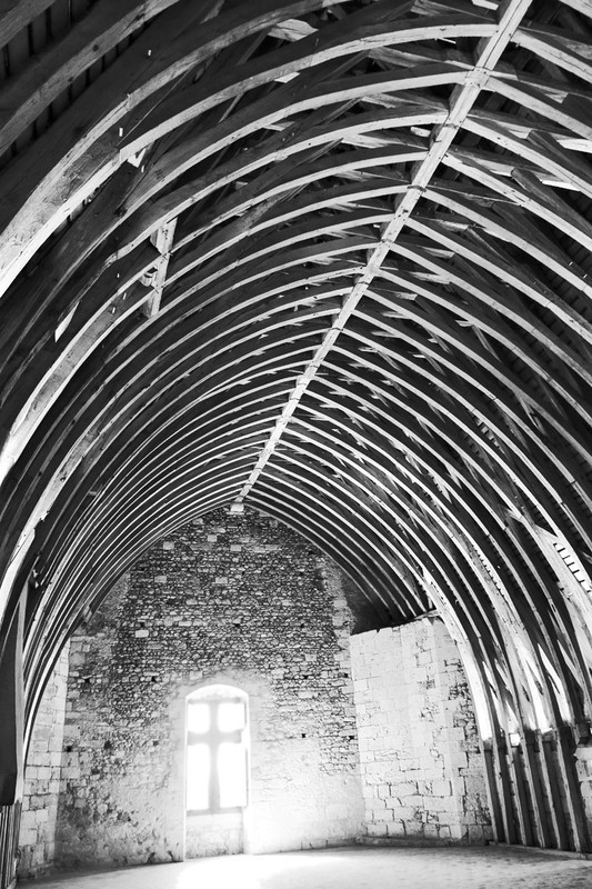 FRA_9876bw(1).jpg :: The Timber Roof Structure of Château de Sully in the Loire Valley, France