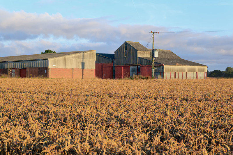 FRM_8967(1).jpg :: Farm Barns