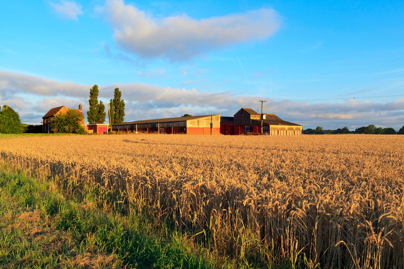 FRM_8968(1).jpg :: Arable Farm in Lincolnshire