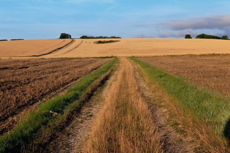 FRM_8978(1).jpg :: Farm Track in the Lincolnshire Wolds