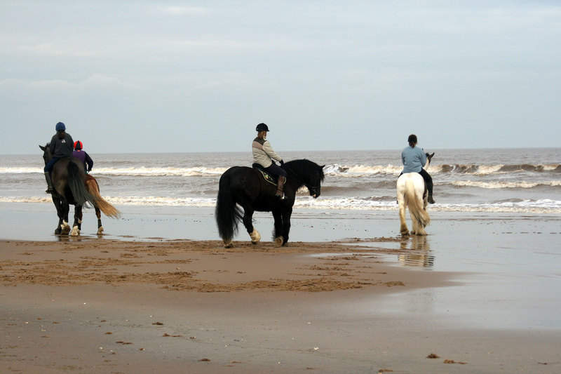 IMG_1092.jpg :: Riding School on Mablethorpe Beach