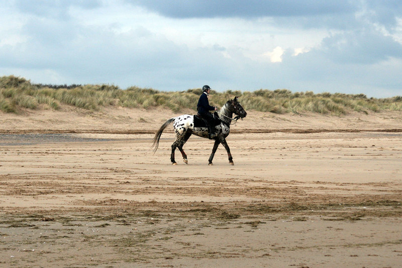 IMG_1095.jpg :: Riding School on Mablethorpe Beach