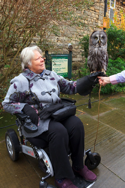 LCM_012(1).jpg :: Pam holding a Canadian Great Grey Owl at the Lincoln Christmas Market Lincolnshire UK