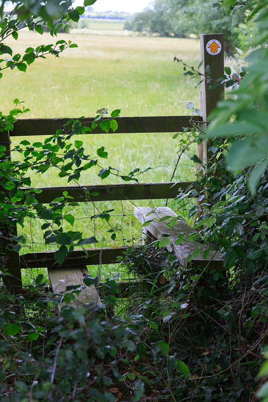 MKC19_028.jpg :: Overgrown stile on public footpath route