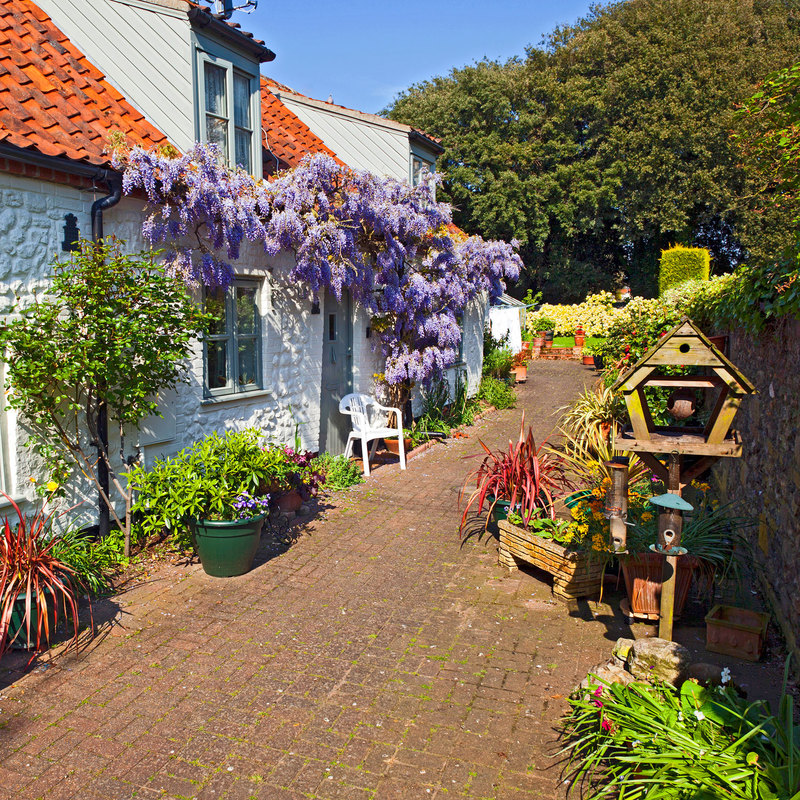 NFK_22501.jpg :: Cottage Garden Thornham Norfolk