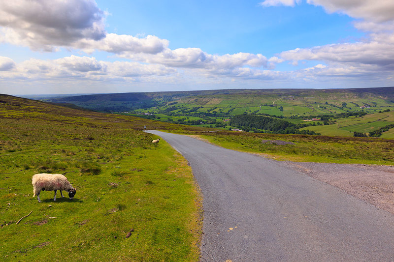 NYM19_046.jpg :: View over Farndale, North York Moors, Yorkshire, England