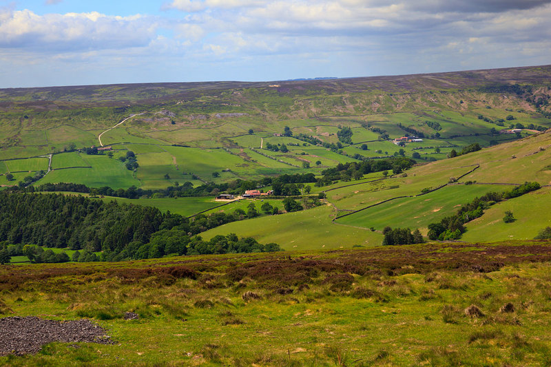 NYM19_052.jpg :: View of Farndale Valley in the North York Moors, England, UK