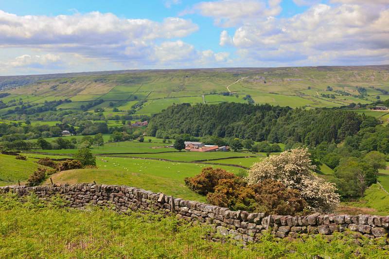 NYM19_055.jpg :: Farming in the Farndale Valley on the North York Moors, England, UK