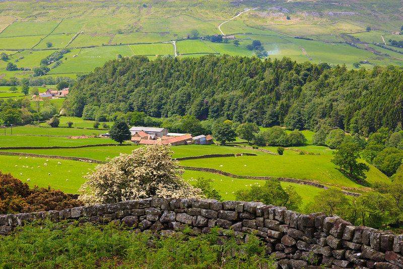 NYM19_059.jpg :: Farming in the Farndale Valley on the North York Moors, England, UK