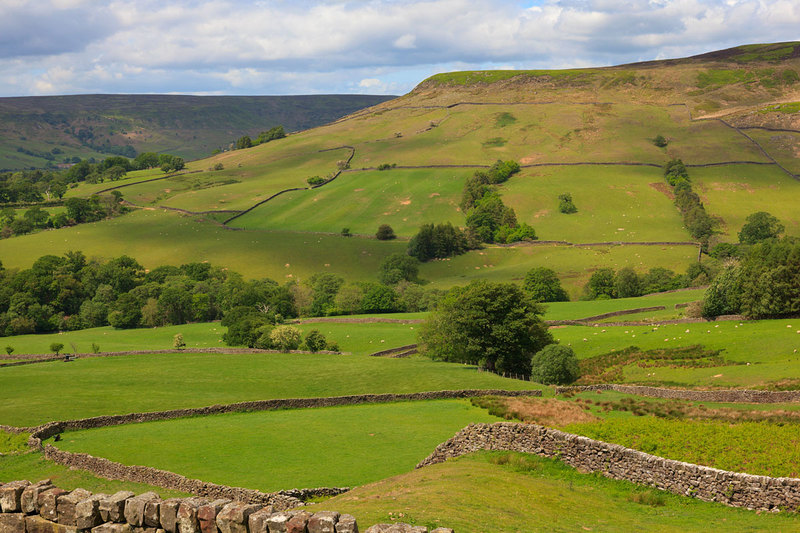 NYM19_060.jpg :: Farming in the Farndale Valley on the North York Moors, England, UK