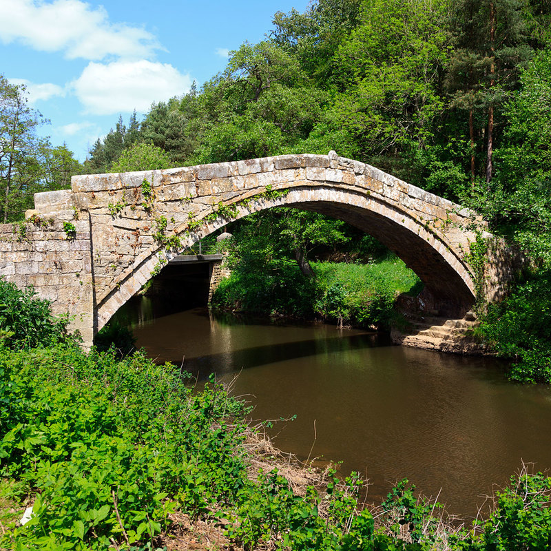 NYM19_069.jpg :: Packhorse Beggars Bridge (1619) over the River Esk at Glaisdale on the North York Moors