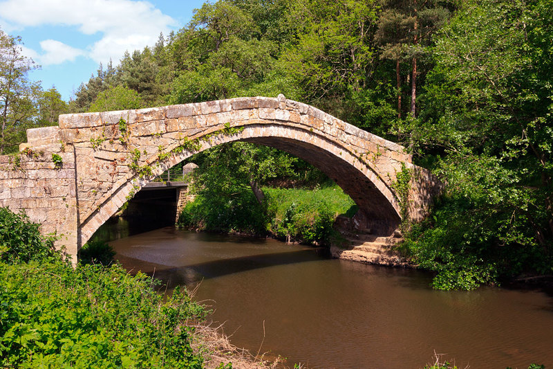 NYM19_071.jpg :: Packhorse Beggars Bridge (1619) over the River Esk at Glaisdale on the North York Moors