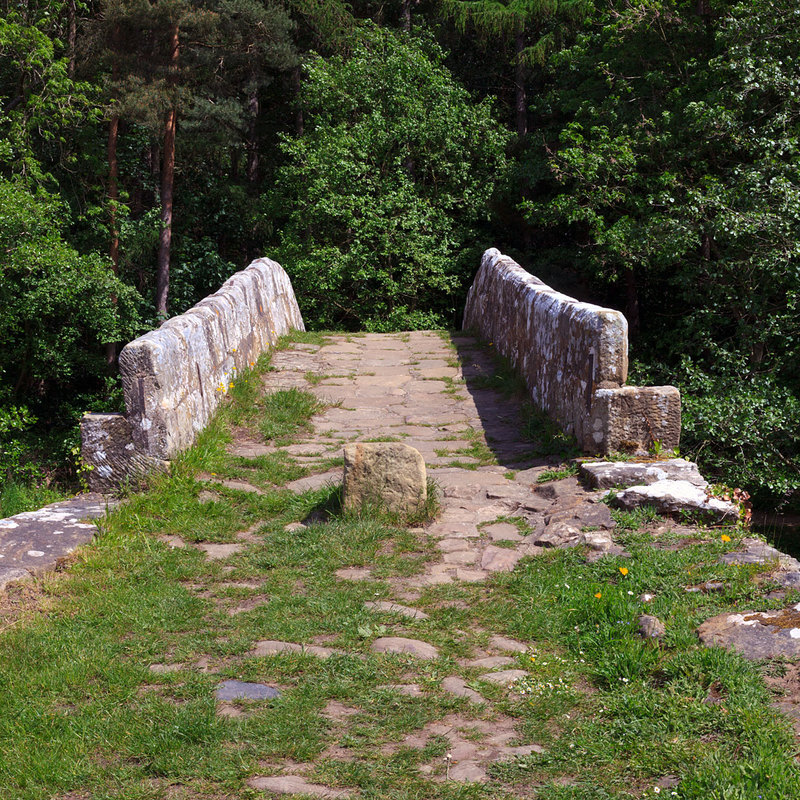 NYM19_072.jpg :: Packhorse Beggars Bridge (1619) over the River Esk at Glaisdale on the North York Moors