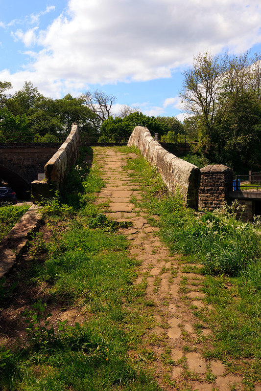 NYM19_078.jpg :: Packhorse Beggars Bridge (1619) over the River Esk at Glaisdale on the North York Moors