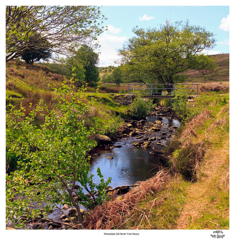 NYM19_087(1).jpg :: Footbridge over Wheeldale Gill stream on the North York Moors, Yorkshire, England, UK