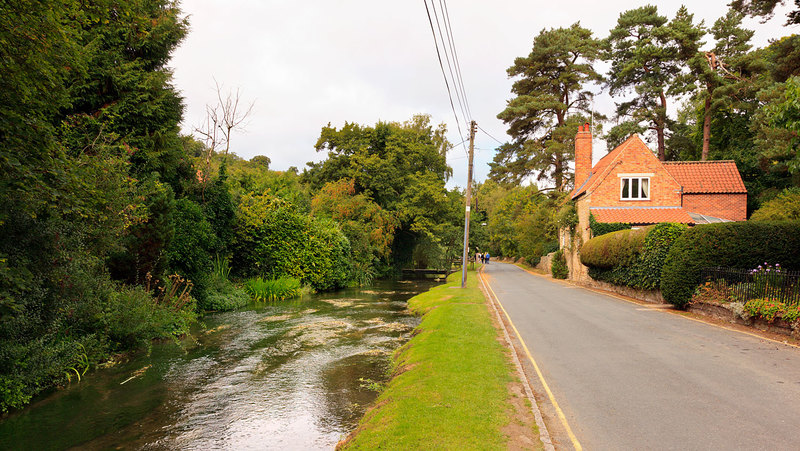 NYPT_1809(1).jpg :: The Beck flowing through Thornton-le-Dale North Yorkshire