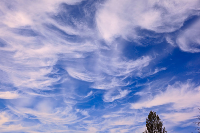 SKY420_003w.jpg :: Cirrus Clouds over Lincolnshire