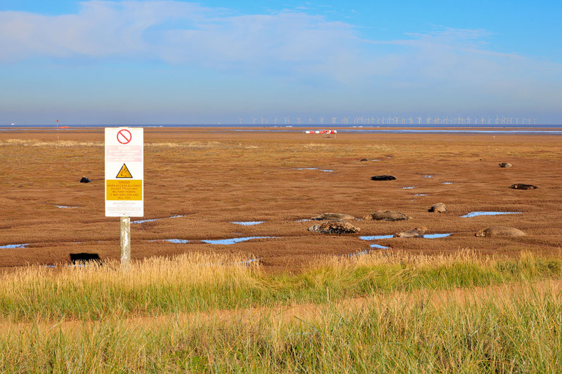 SLS_1808(1).jpg :: Grey Seals on the beach at Donna Nook during the birthing season on the Lincolnshire Coast UK