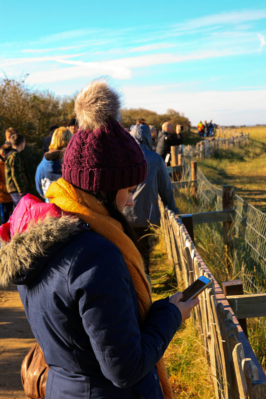 SLS_1815(1).jpg :: Young Woman on mobile phone at Donna Nook to see the Grey Seals