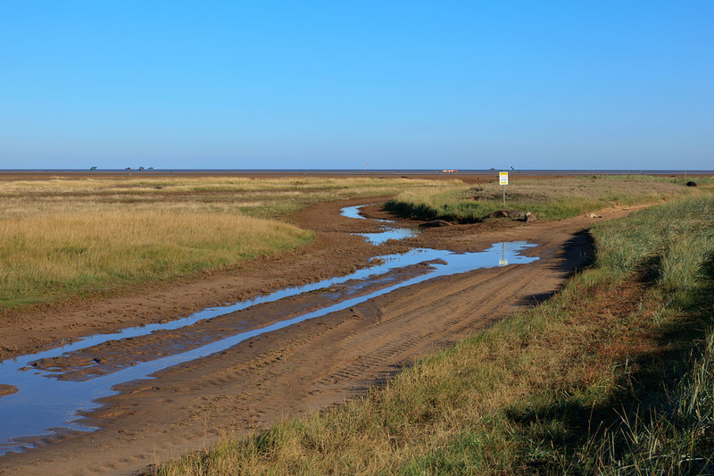 SLS_1850(1).jpg :: RAF Donna Nook with Seals at birthing time on the Lincolnshire Coast UK