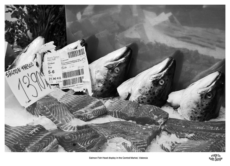 SPN_6580(1).jpg :: Salmon Fish Head display in the Central Market, Valencia