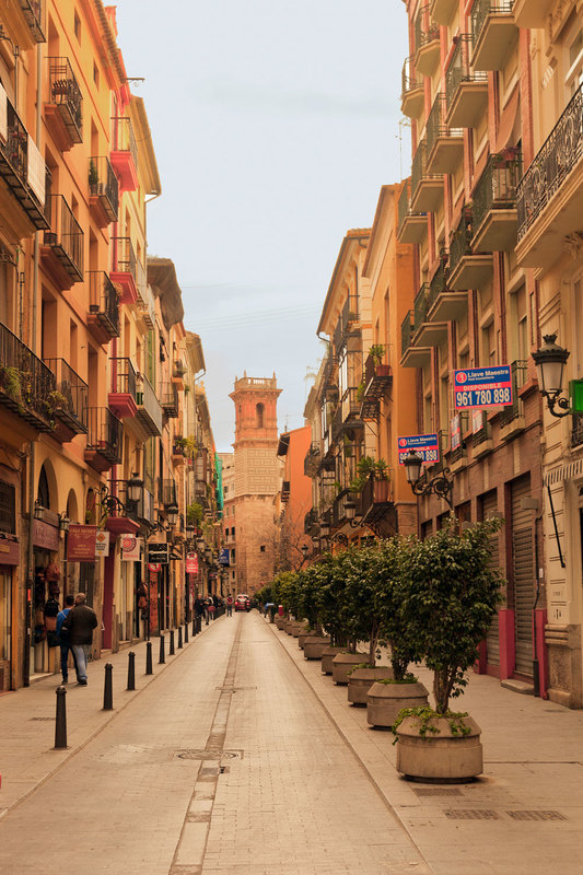 SPN_8103(1).jpg :: Carrer Serrano in the Old Quarters of the City of Valencia