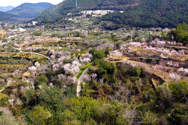 SPN_9302(1).jpg :: Cultivated fields (almonds, oranges & olives) in the Valley below Eslida in the province of Castellon, Spain