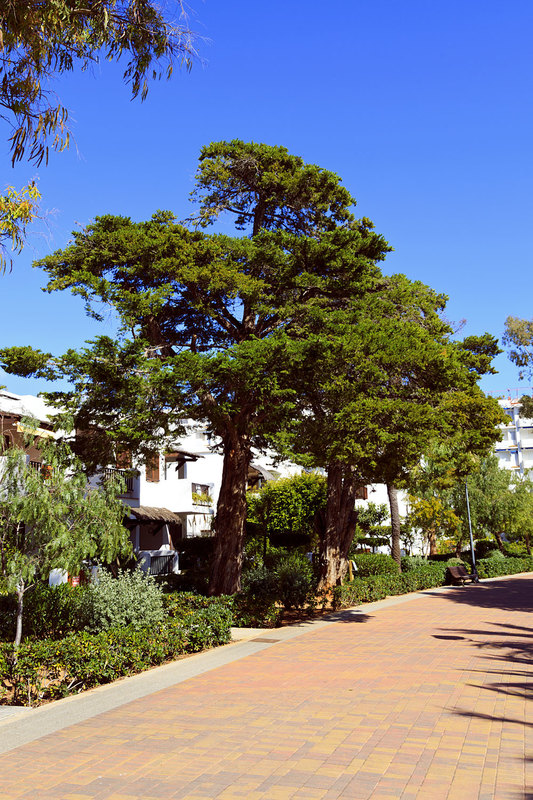SPN_9405.jpg :: Las Fuentes promenade Alcossebre Spain