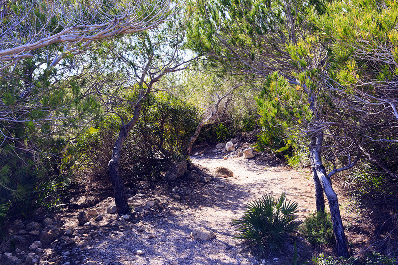 SPN_9439.jpg :: Coastal footpath Alcossebre Spain