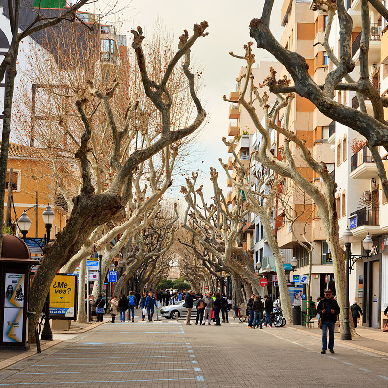 SPN19_023-1.jpg :: Marques de Campo street in Dénia closed for festival with avenue of bare trees in winter, Spain