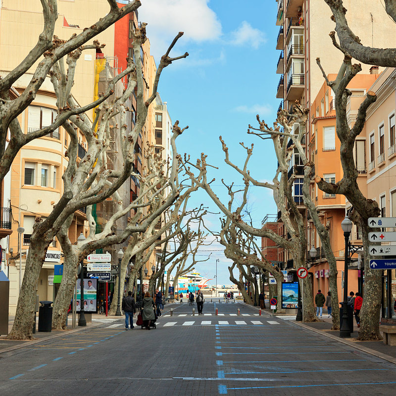 SPN19_024-1.jpg :: Marques de Campo street in Dénia closed for festival with avenue of bare trees in winter, Spain