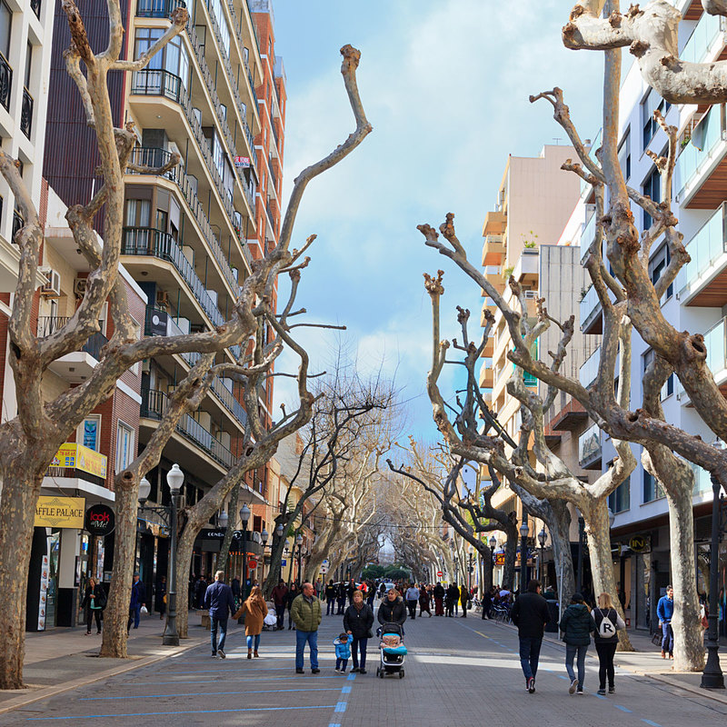 SPN19_025-1.jpg :: Marques de Campo street in Dénia closed for festival with avenue of bare trees in winter, Spain