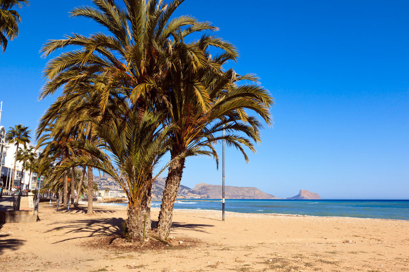 SPN19_182.jpg :: Palm trees on the beach at Altea, Costa Blanca, Spain