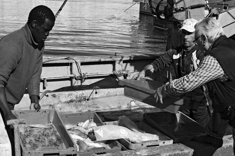SPN19_2792.jpg :: Fishermen selling the day's catch from the fishing boat in the Fishing Port of Dénia on the Costa Blanca, Spain
