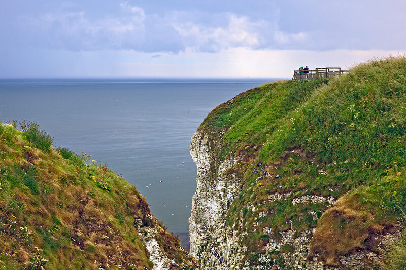 YRK22_009.jpg :: Seabird colonies nesting on Bempton Cliffs on the Yorkshire Coast