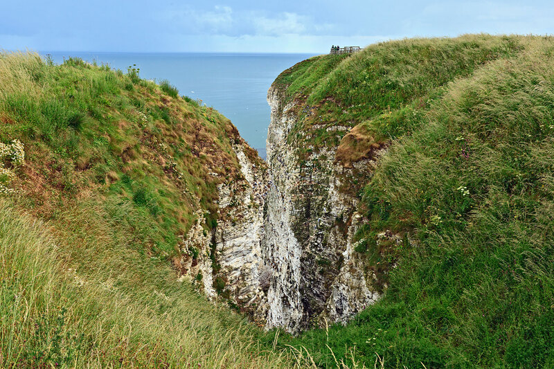 YRK22_010.jpg :: Seabird colonies nesting on Bempton Cliffs on the Yorkshire Coast