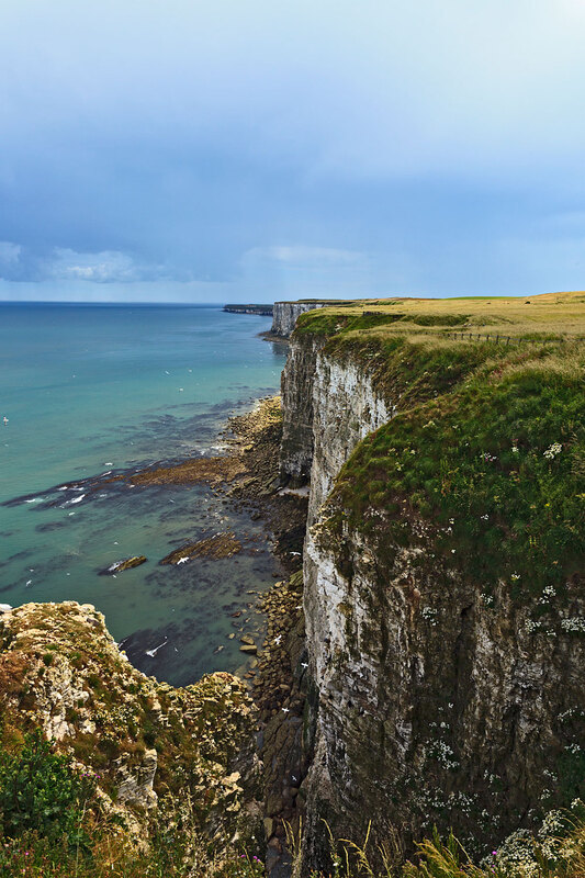 YRK22_012.jpg :: Bempton Cliffs on the Yorkshire Coast England
