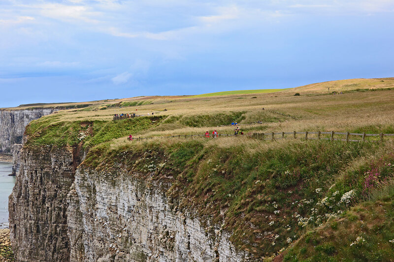YRK22_059.jpg :: Bempton Cliffs on the Yorkshire Coast England