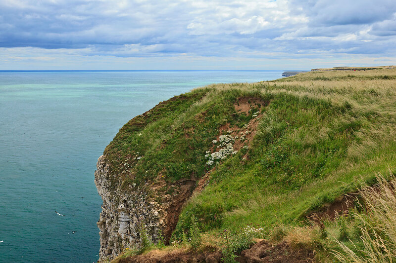YRK22_072.jpg :: Bempton Cliffs on the Yorkshire Coast England