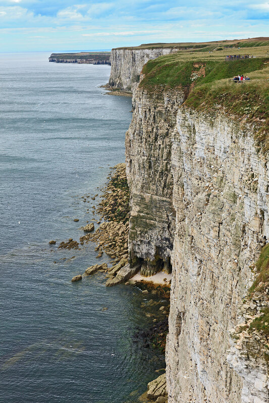 YRK22_076.jpg :: Bempton Cliffs on the Yorkshire Coast England