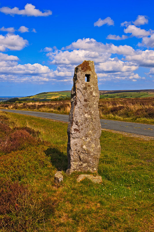 NYM19_081.jpg :: Ancient standing stone on the side of Wheeldale Roman Road on the North York Moors, Yorkshire, England, UK