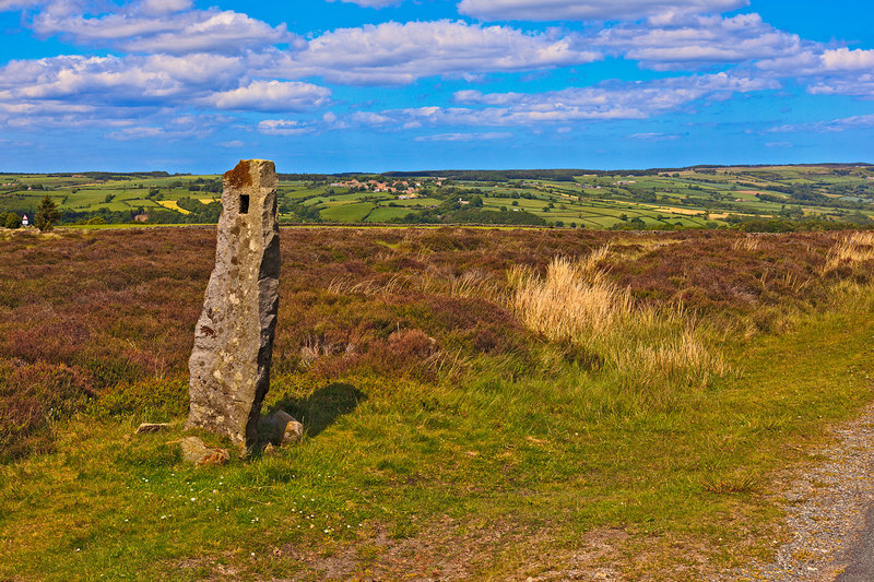 NYM19_082.jpg :: Ancient standing stone on the side of Wheeldale Roman Road on the North York Moors, Yorkshire, England, UK