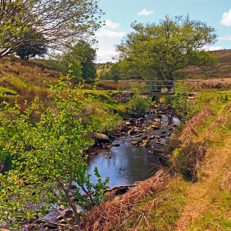 NYM19_087.jpg :: Footbridge over Wheeldale Gill stream on the North York Moors, Yorkshire, England, UK