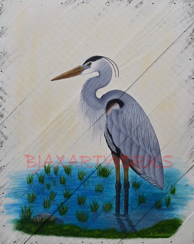 Lone Blue Heron 2.jpg